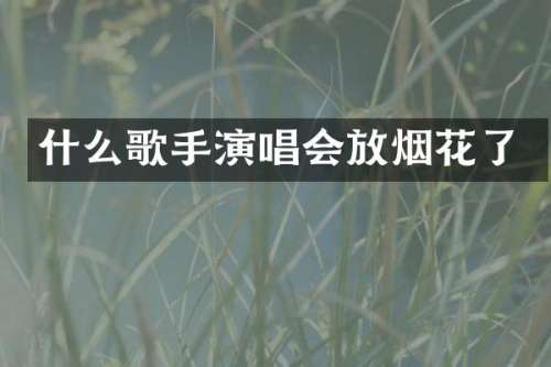 什么歌手演唱会放了
