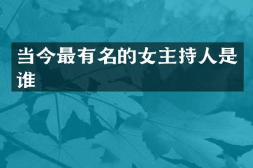 当今最有名的女主持人是谁