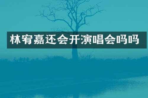 林宥嘉还会开演唱会吗吗