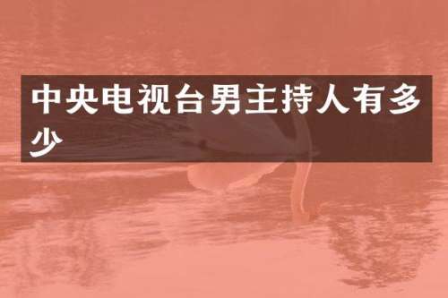 中央电视台男主持人有多少