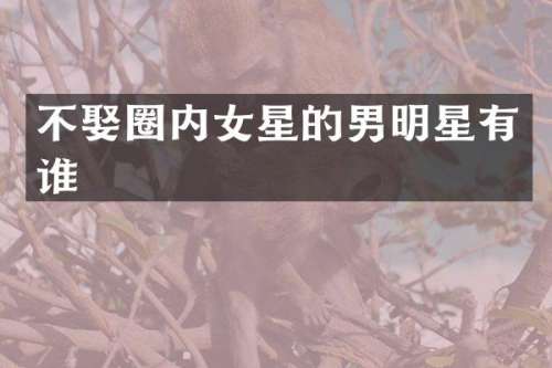 不娶圈内女星的男明星有谁