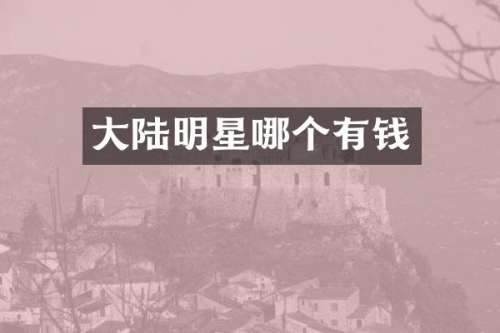 大陆明星哪个有钱