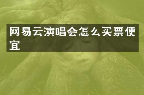 网易云演唱会怎么买票便宜