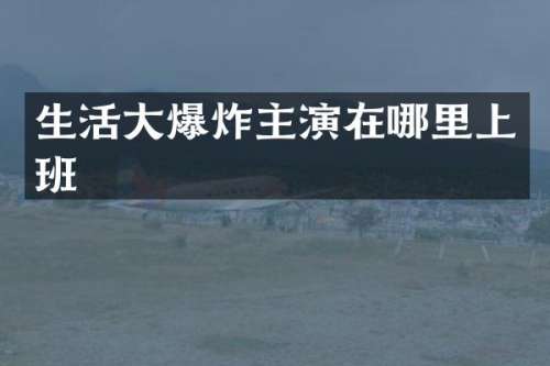 生活大爆炸主演在哪里上班