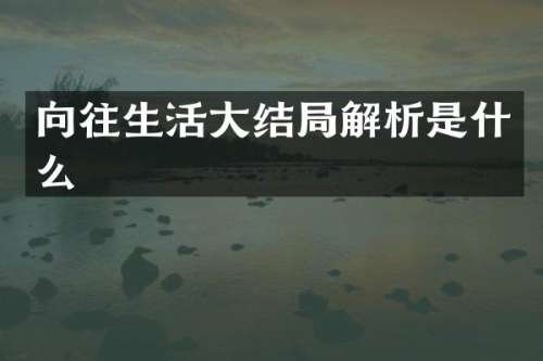 向往生活大结局解析是什么