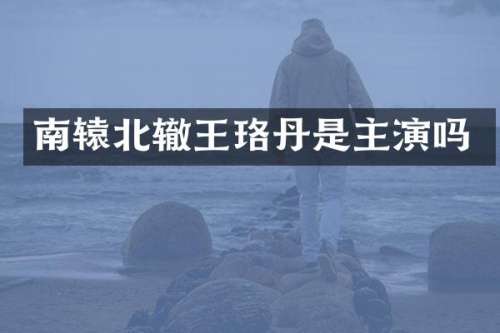南辕北辙王珞丹是主演吗