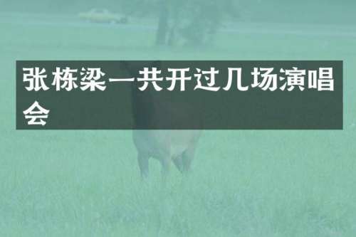 张栋梁一共开过几场演唱会