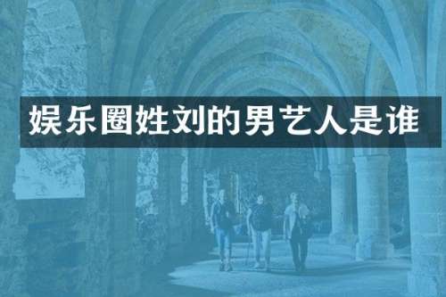 娱乐圈姓刘的男艺人是谁