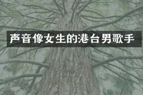 声音像女生的港台男歌手