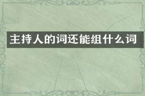 主持人的词还能组什么词