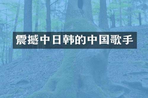 震撼中日韩的中国歌手
