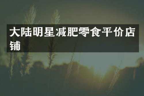 大陆明星减肥零食平价店铺