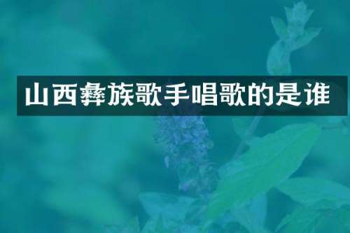 山西彝族歌手唱歌的是谁