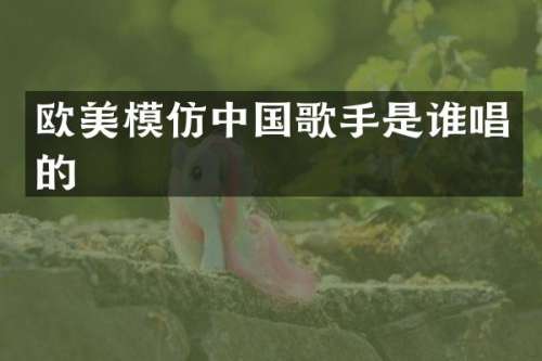 欧美模仿中国歌手是谁唱的