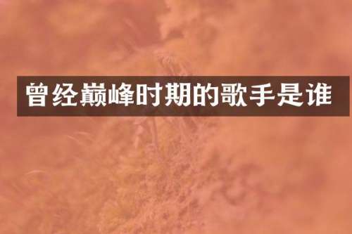 曾经巅峰时期的歌手是谁