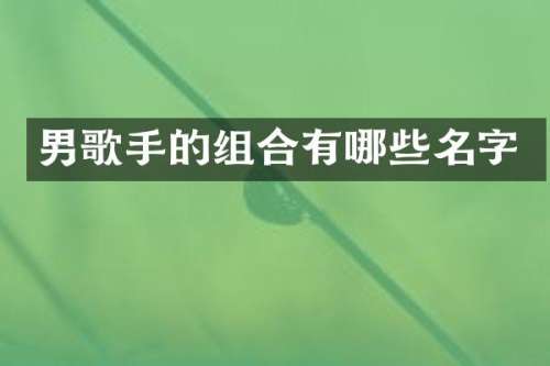 男歌手的组合有哪些名字
