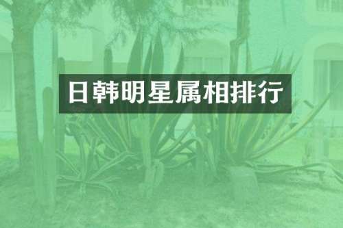 日韩明星属相排行