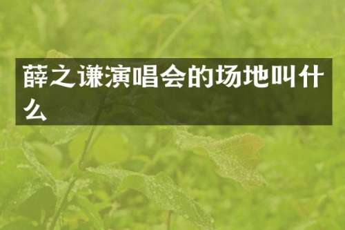 薛之谦演唱会的场地叫什么