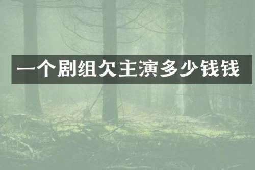 一个剧组欠主演多少钱钱