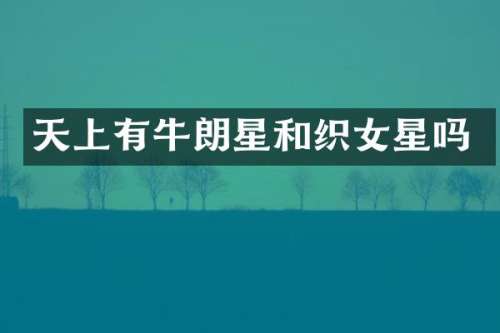 天上有牛朗星和织女星吗