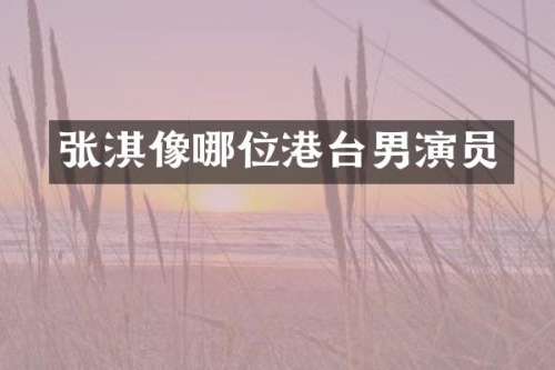 张淇像哪位港台男演员