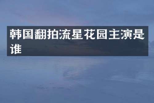 韩国翻拍流星花园主演是谁