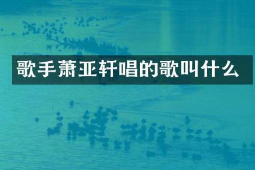 歌手萧亚轩唱的歌叫什么
