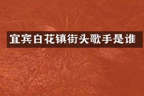 宜宾白花镇街头歌手是谁