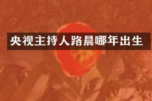 央视主持人路晨哪年出生
