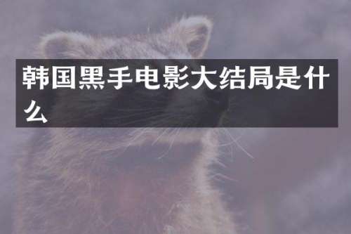 韩国黑手电影大结局是什么