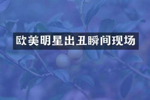 欧美明星出丑瞬间现场