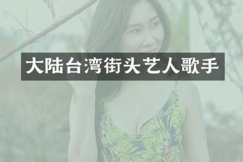 大陆台湾街头艺人歌手