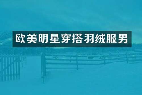 欧美明星穿搭羽绒服男