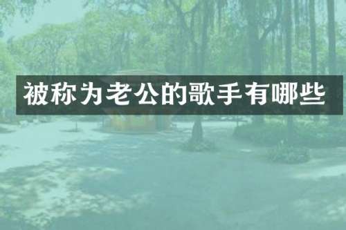 被称为老公的歌手有哪些