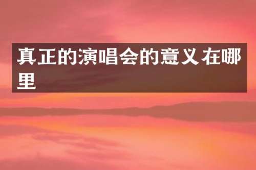 真正的演唱会的意义在哪里