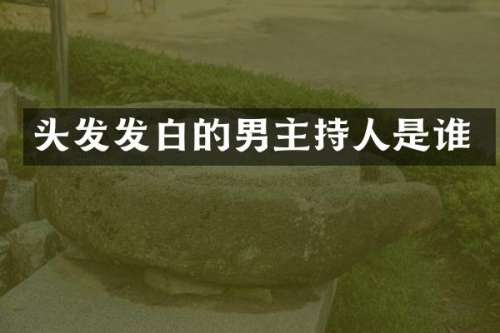 头发发白的男主持人是谁