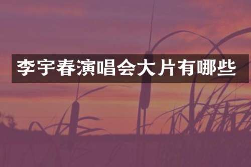 李宇春演唱会大片有哪些