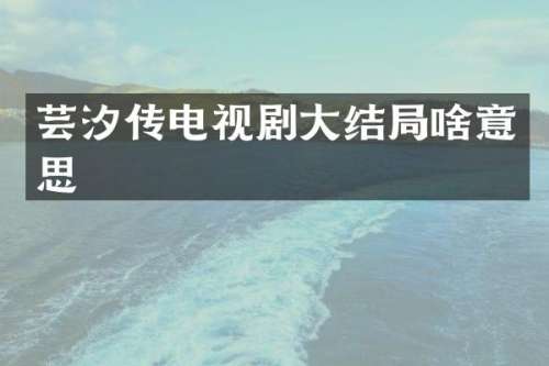 传电视剧大结局啥意思