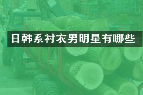日韩系衬衣男明星有哪些