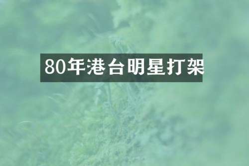 80年港台明星打架
