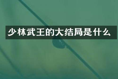 少林武王的大结局是什么
