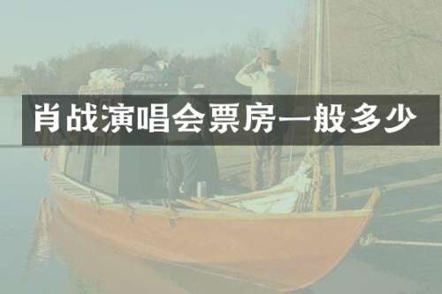 肖战演唱会票房一般多少