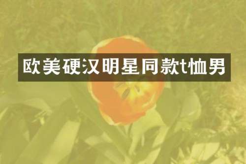 欧美硬汉明星同款t恤男