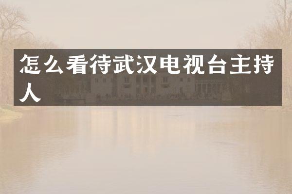 怎么看待武汉电视台主持人