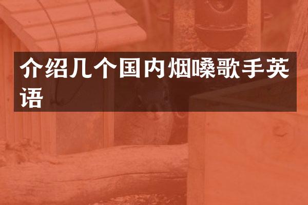 介绍几个国内烟嗓歌手英语