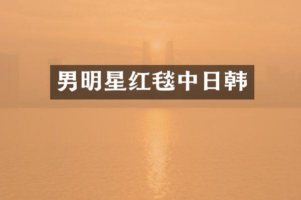男明星红毯中日韩