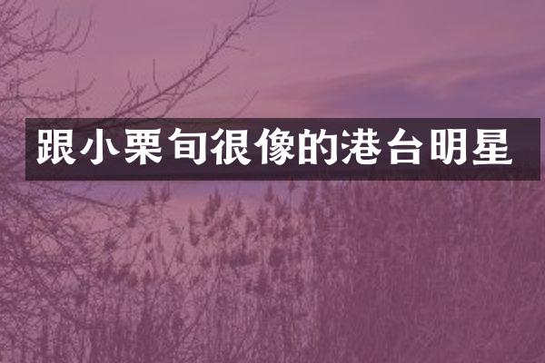 跟小栗旬很像的港台明星