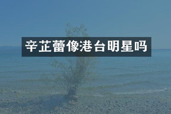 辛芷蕾像港台明星吗