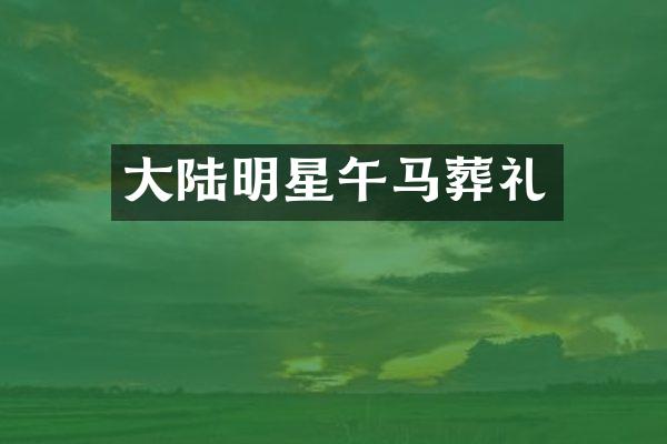 大陆明星午马葬礼