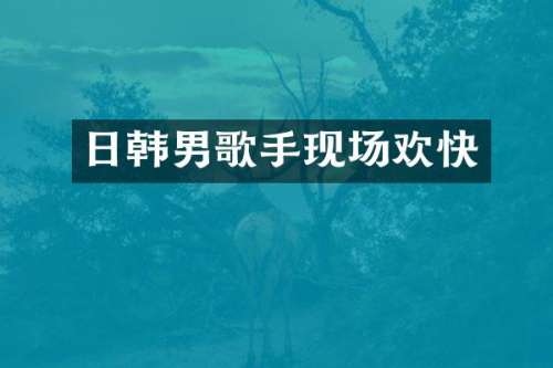 日韩男歌手现场欢快